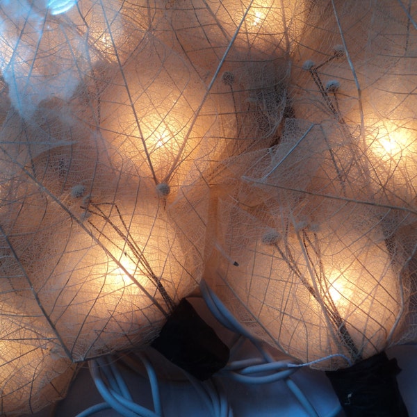 Flower Fairy Lights Ivory  4 metres ++January Sale++