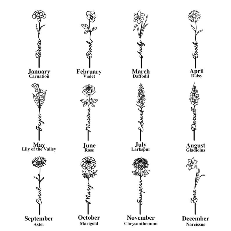 May include: A set of twelve black line art floral cake toppers, each featuring a unique birth flower and a personalized name integrated into the stem. The months and flower names are printed below each design, ranging from January to December.