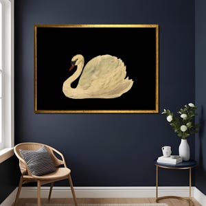 Aert Schouman Knobbel Zwaan Print - Vintage Dutch Swan Art, Nature Illustration, Wall Decor, Collectible Bird Artwork , Large Canvas