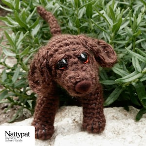 Pode incluir: Um brinquedo de cachorro de crochê marrom com olhos pretos e um nariz marrom. O cachorro está em pé em uma pedra com plantas verdes no fundo.