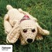 see more listings in the Pup Series section