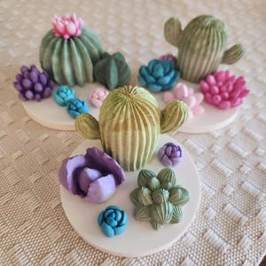 May include: Three circular white bases each featuring a collection of small, colorful, molded succulent and cactus figures. The plants are rendered in shades of green, pink, purple, and blue, with textured surfaces and varied shapes including round cacti.