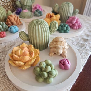 May include: A round white tray featuring a green cactus, a tan turtle figurine, a yellow succulent, a small green cluster succulent, and a tiny pink flower. The set includes multiple similar trays with various colored cacti and succulent figures.