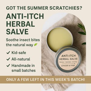 Itch, Please! Herbal Salve • Summer Skin Balm • Botanical Body Care