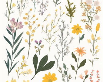Wildflower Botanical Print: Minimalist Floral Wall Art (Digital Download)