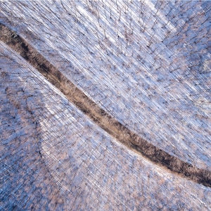 Winter Road in Forest Print. Forest Print, Aerial View Photo, Winter Landscape, Digital Download