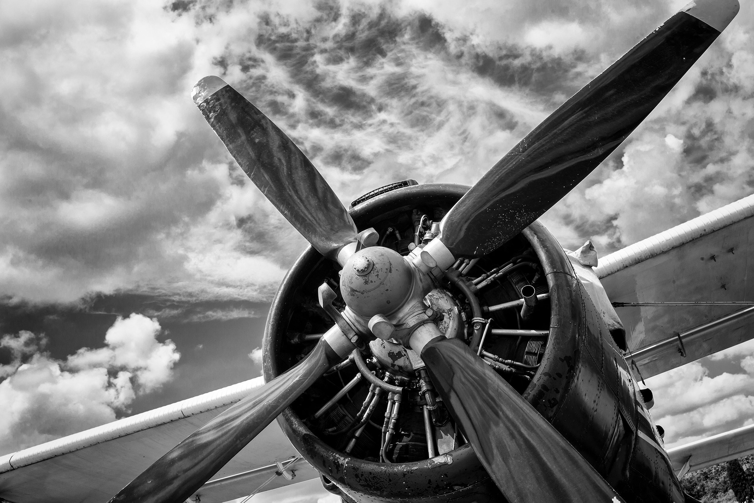 DIGITAL DOWNLOAD Airplane Propeller Wall Art Plane,Aeroplane Wall Art, Black And White