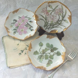 Limoges Plates Antique Sweet Hand Painted Flowers Set of 3 Dessert Appetizer Bread Serving Plates with Gold Leaf 6 inches Mint Condition