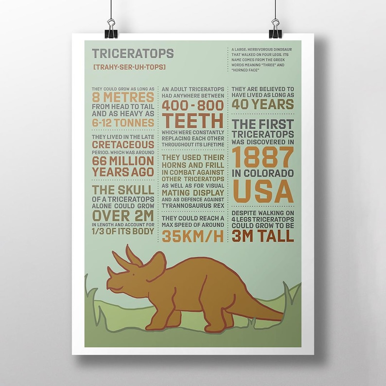 Triceratops Dinosaur Infographic Digital Print – Educational Poster for ...