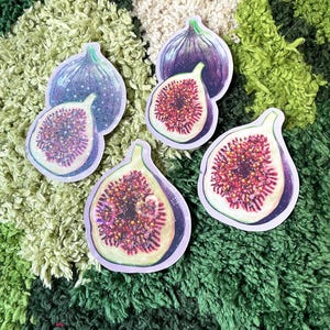 Szczegółowa naklejka Cottagecore Fig holograficzna lub gładka