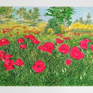 Prova d'autore su carta campo di papaveri, serigrafia, papaveri,originale