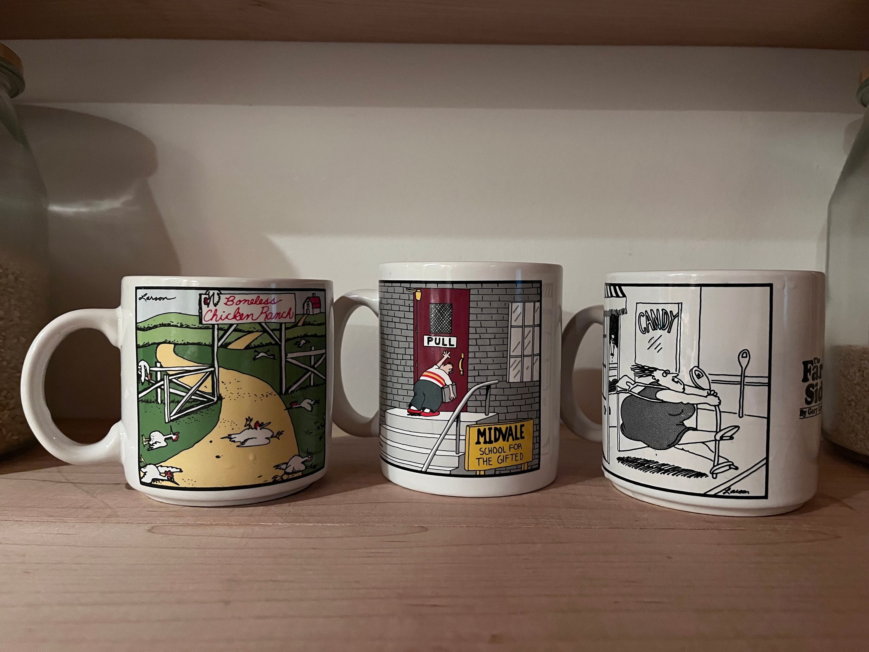 Far Side Mugs Etsy