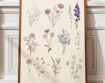 Vintage Botanical Wildflower Print, Colorful Floral Wall Art, Digital Nature Poster, Antique Herbarium Illustration, Cottagecore Home Decor