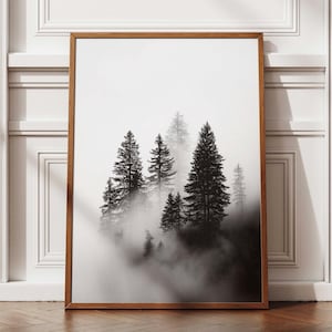 Könnte beinhalten: Ein gerahmtes Schwarz-Weiß-Foto einer nebligen Waldszene. Hohe Nadelbäume tauchen aus einer Nebelschicht auf und schaffen eine dramatische und ruhige Landschaft. Der Rahmen hat eine warme braune Farbe, und das Kunstwerk lehnt an einer weißen Wand.