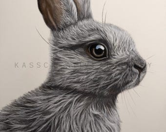 Puede incluir: Un dibujo detallado de un conejo gris de perfil, con pelaje texturizado, orejas largas con tonos marrones en el interior y un ojo oscuro. El texto KASSCREATIVEARTISTRY es visible sobre la cabeza y el cuello del conejo.