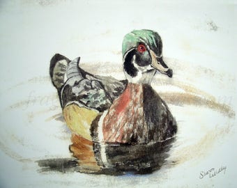 Mallard Duck print - from watercolor - 8 x 10 or digital download