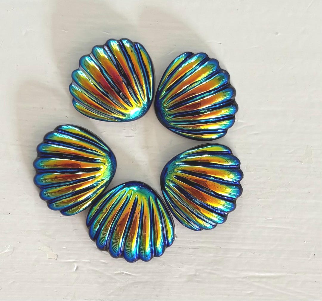 Flat Bottom Shell 5 Shells Shell Shape Flat Bottom Acrylic Cabochon 18x20 Mm Jet Black AB ...