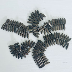 May include: A collection of small, metallic, brown, teardrop-shaped beads. The beads are arranged in a starburst pattern.