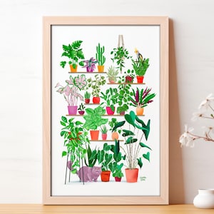 Poster di piante da interno – Giungla illustrata da parete – Carta artistica firmata