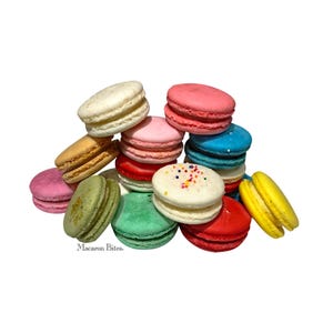 French Macarons - Macaron Bites Macarons Assorted Flavors - 24 Pack