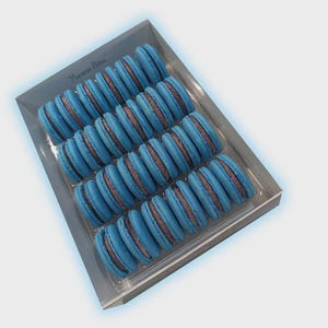 Blueberry Macarons Cookies Gift Box - 24 Count