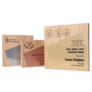Customize trophy with UV printed metalized plate, personalized plaque, handcrafted wooden award, best employee award, corporate award