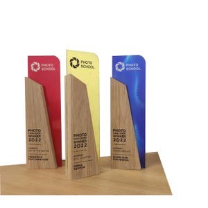 Custom Wooden Trophy Award, Personalized Bespoke Design, Modern Plaque Wood, award plaque for a tournament championship, employee award