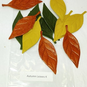 More Choice Available Leather Die Cut Leaf Shapes with Veins in Various Colors (12 pieces) Lots K-R  Autumn Leaves, Fall Foliage, Leaf Lot