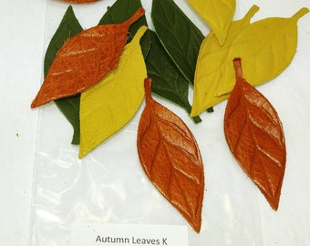 Plus de choix disponibles Formes de feuilles en cuir découpées avec des nervures de différentes couleurs (12 pièces) Lots K-R Feuilles d'automne, feuillage d'automne, lot de feuilles