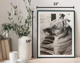 Custom Family & Pet Portraits