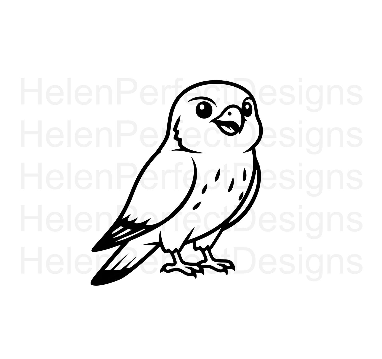 Outlined Hawk Outline Hawk SVG and PNG Line Art Vector Black and White for Cricut - Etsy