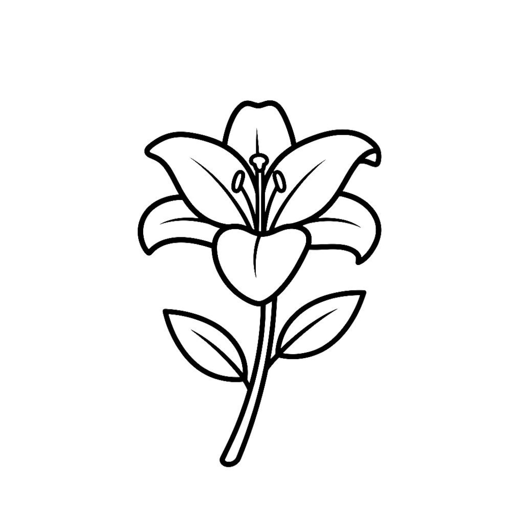 Simple Lily SVG Outline PNG Line Art Vector Black and White for Cricut ...
