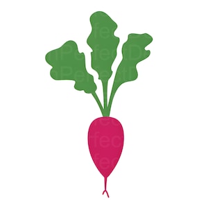 Radish SVG Clipart, Root Vegetable SVG, Radish SVG File for Cricut and Crafts