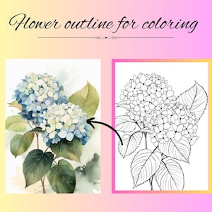Op de afbeelding: Waterverfschilderij van blauwe en witte hortensiabloemen met groene bladeren. Daarnaast een zwart-wit omtrek van dezelfde bloemen, getiteld "Flower outline for coloring".