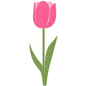 Pink Tulip SVG Clipart, Spring Flower SVG, Tulip SVG File for Cricut and Crafts