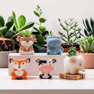 Urocze ceramiczne doniczki na sukulenty w kształcie zwierząt – miniaturowe, fantazyjne doniczki do wystroju domu i biura