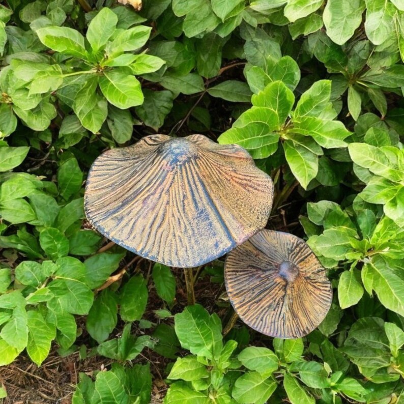 May include: Two decorative mushroom sculptures with textured, fan-like caps in shades of brown, blue, and gold. The sculptures are set among lush green foliage, creating a natural garden accent.