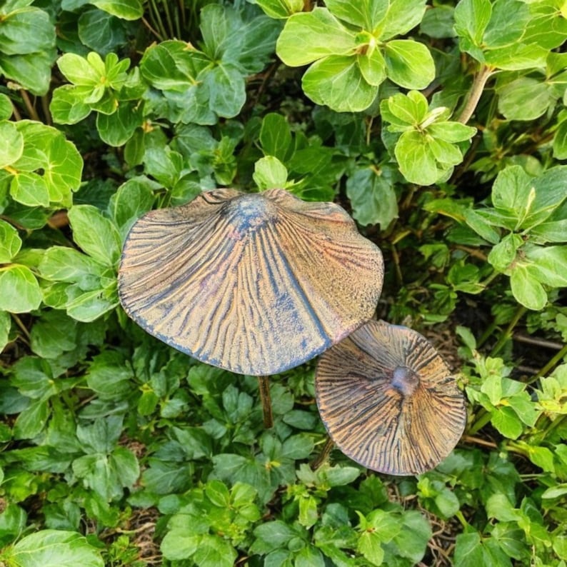 May include: Two decorative mushroom garden stakes with textured, bronze-colored caps and dark blue accents. The mushroom caps have a ribbed design and are set among green foliage.