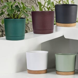 Puede incluir: Una colección de macetas cilíndricas modernas en varios colores, incluyendo verde, burdeos, negro, blanco y verde salvia. Algunas macetas tienen una base de corcho natural. Una maceta contiene una pequeña planta verde. Estas macetas son adecuadas para uso interior o exterior.