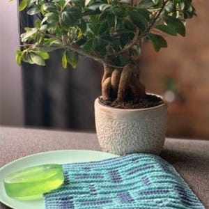 Breien vaatdoek washandje spa doek patroon gemakkelijk beginner snel breipatroon milieuvriendelijk herbruikbare DIY handgemaakt cadeau direct downloaden
