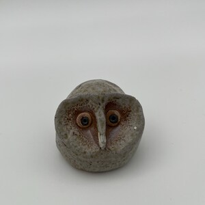Spirit Bird 8C