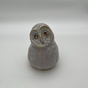 Spirit Bird 1C