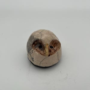 Spirit Bird 5A