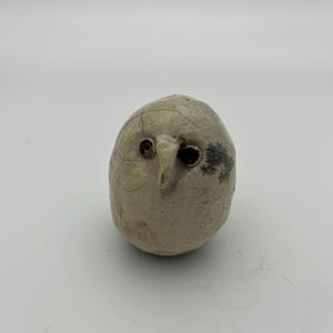 Spirit Bird 6a