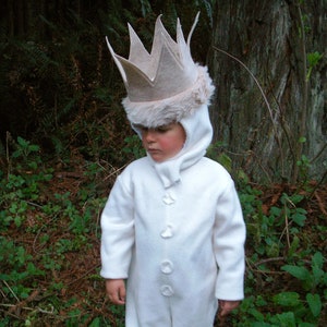 Max Where the Wild Things are Halloween Costume Wild Things MAX Kids Costume for Boys, children, toddler suit and hood image 2