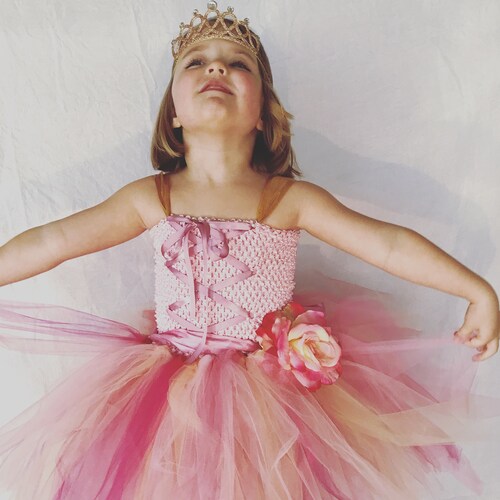 Fairy Princess Dress Girls Halloween Costume tutu dress kids costume dress up shops pretend fairy princess