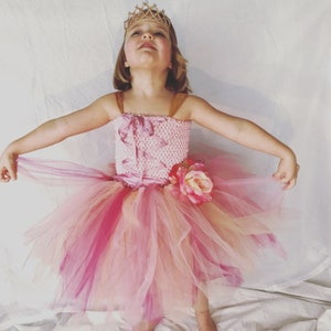 Fairy Princess Tutu Dress: Pink Halloween Costume with Rose