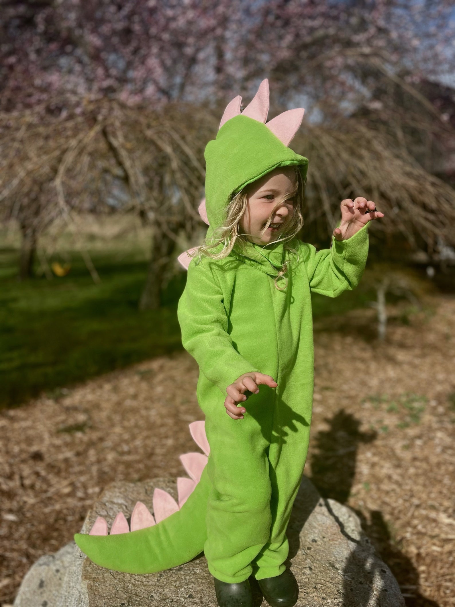 Dinosaur Halloween Costume Toddler Boy Halloween Costume Etsy