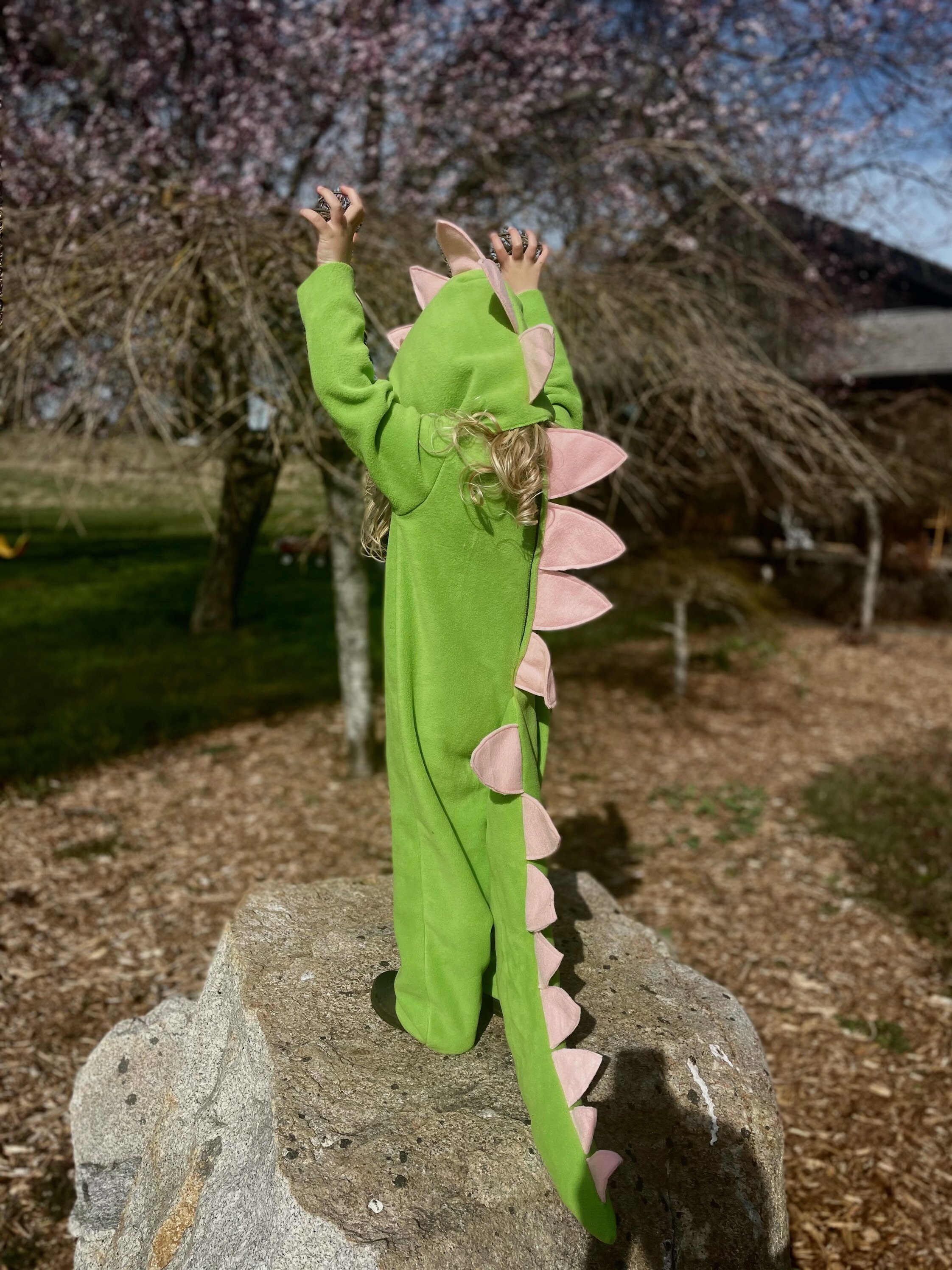 Dinosaur Halloween Costume Toddler Boy Halloween Costume Etsy UK