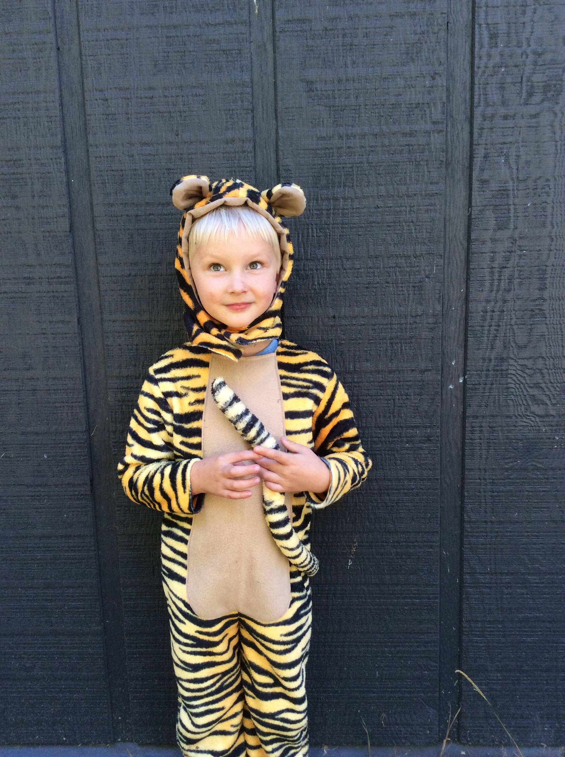 Tigger Kids Costume Winnie The Pooh Tiger Halloween